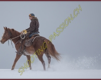 SEMSALES - 0748